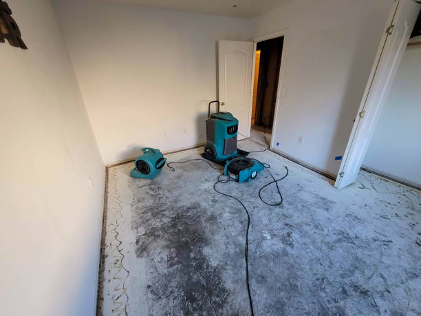 Professional Water damage restoration in Arvada, CO